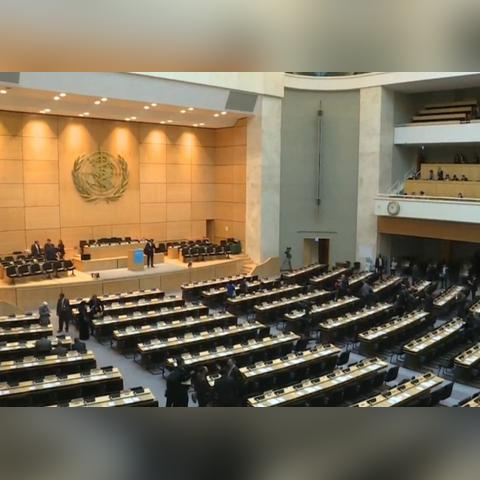 澳门2024年历史记录查询|探索语言中动态词汇的意义_安卓.7.503