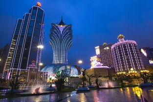 2024新奥新免费资料|探索澳门的无限魅力与精彩活动_演示款.7.898 2024新奥新免费资料|探索澳门的无限魅力与精彩活动_演示款.7.898