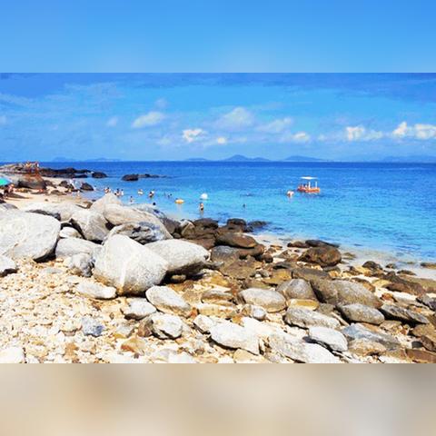 新澳门今晚精准一码发财|探秘美丽的海岛风情_定时款.2.698